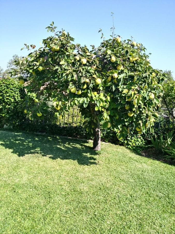 Jardin De La Yedra Guest House Caces Екстериор снимка