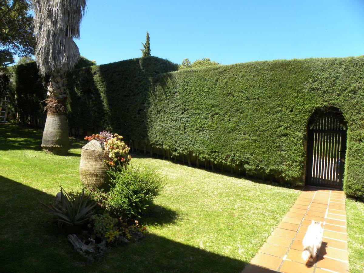 Jardin De La Yedra Guest House Caces Екстериор снимка