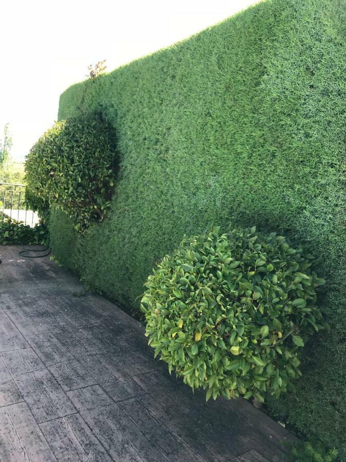 Jardin De La Yedra Guest House Caces Екстериор снимка