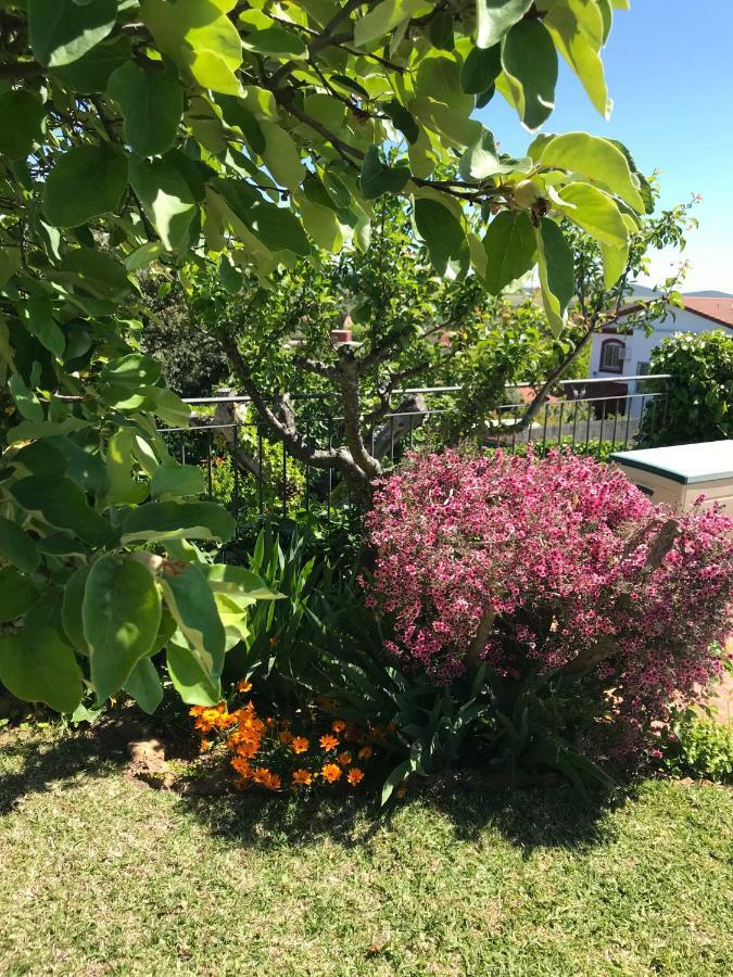 Jardin De La Yedra Guest House Caces Екстериор снимка